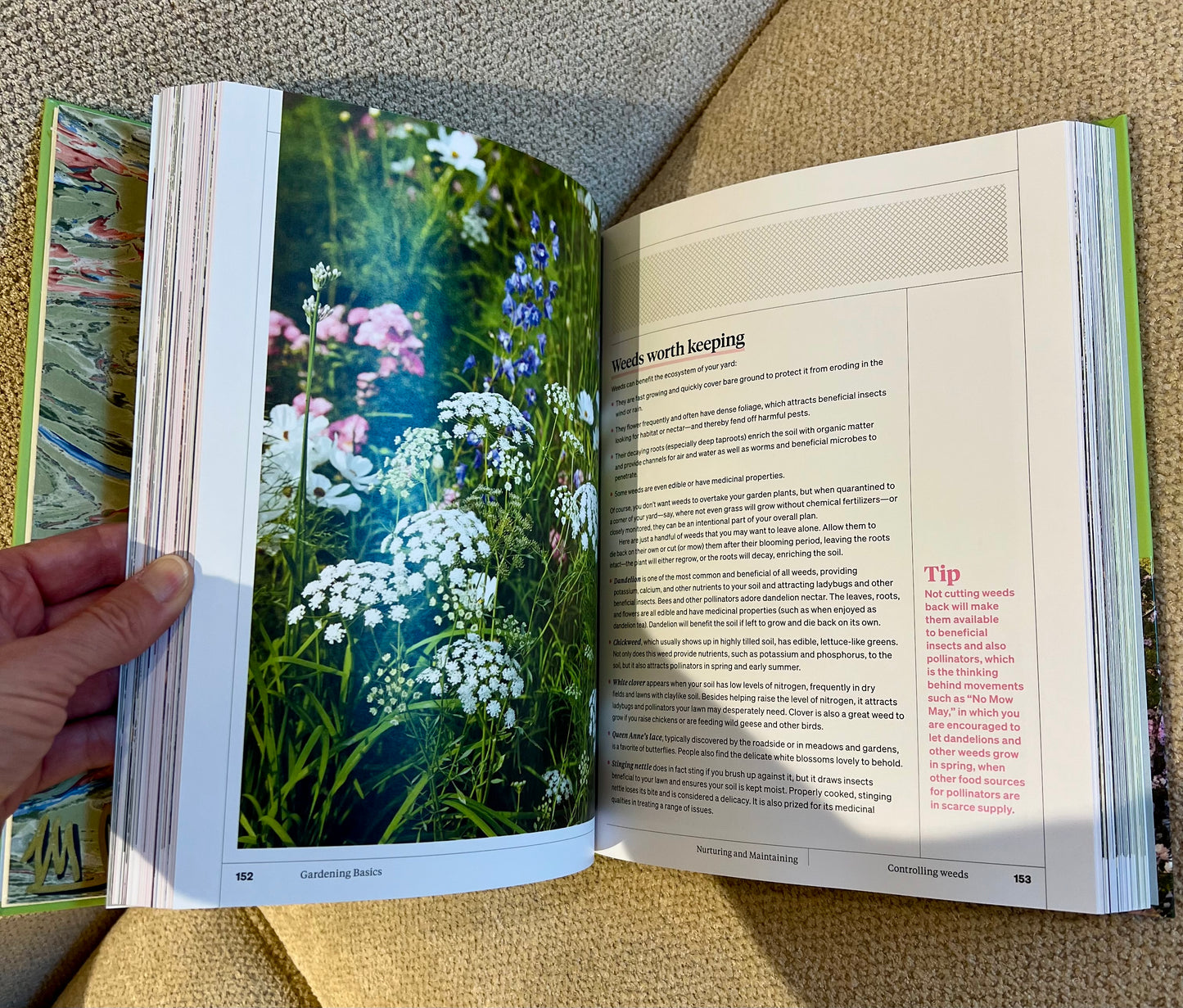 Sunflower Studded Coffee Table Book