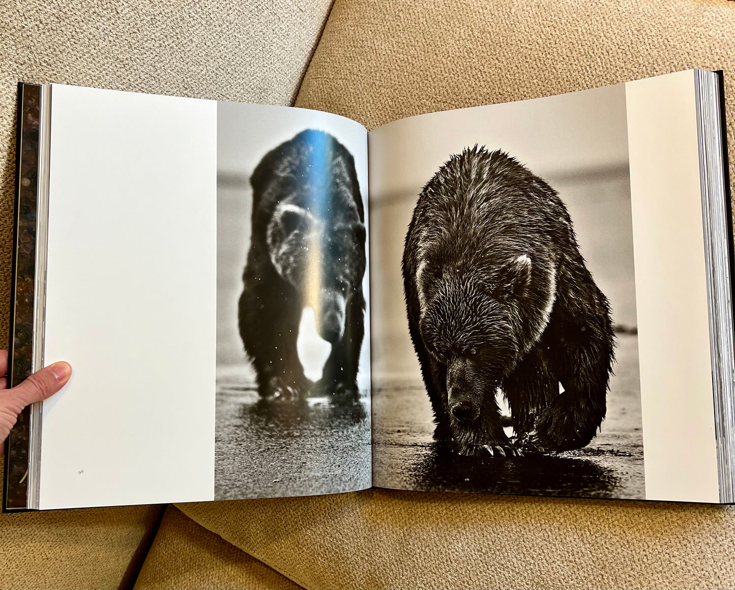 Horse Studded Coffee Table Book