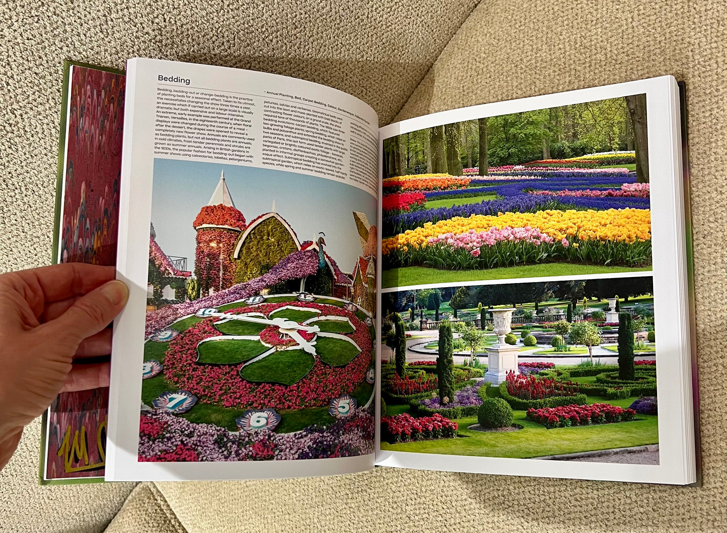 Little Colored Butterflies Studded Coffee Table Book