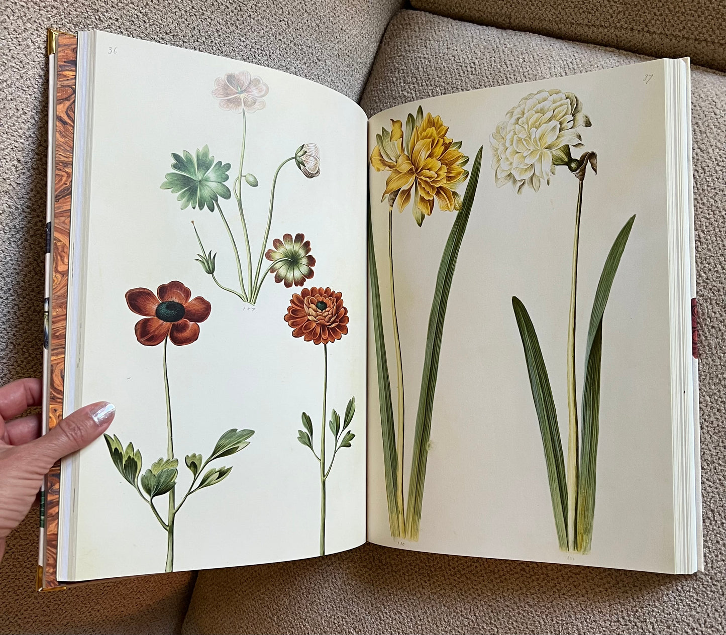 Iris Flower Studded Coffee Table Book