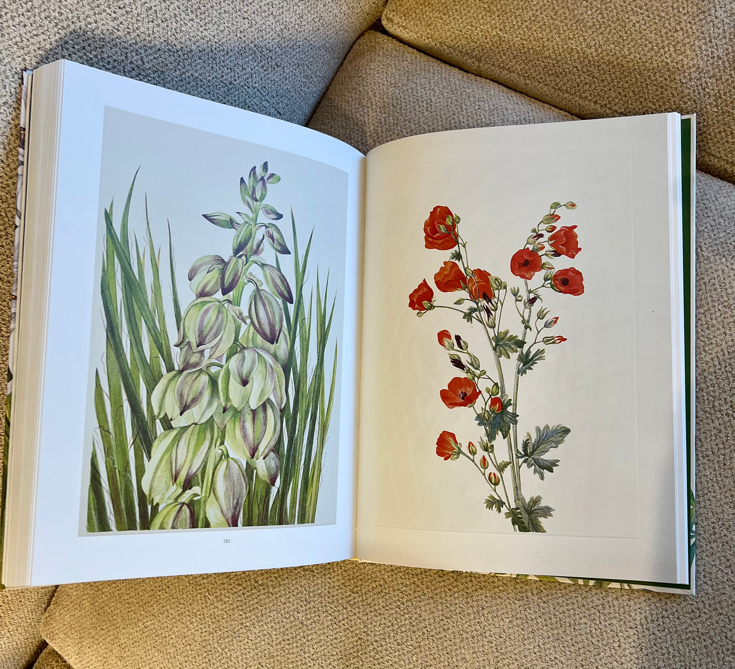 Green Butterfly Studded Coffee Table Book