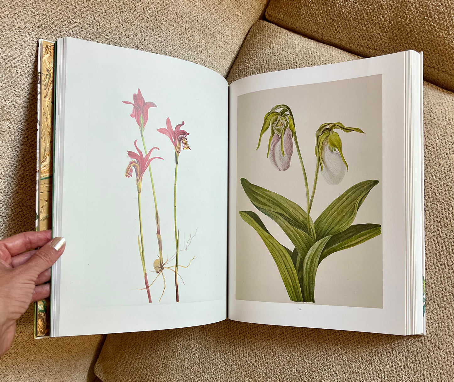 Pink Orchid Studded Coffee Table Book