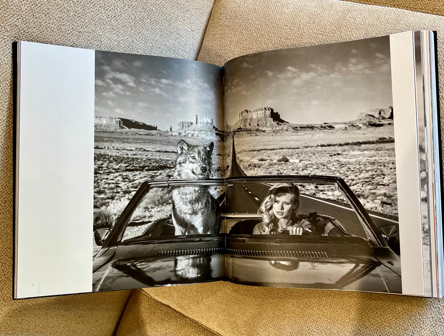 Hippo Studded Coffee Table Book