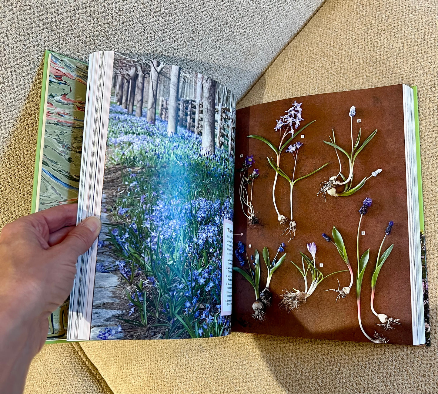 Sunflower Studded Coffee Table Book