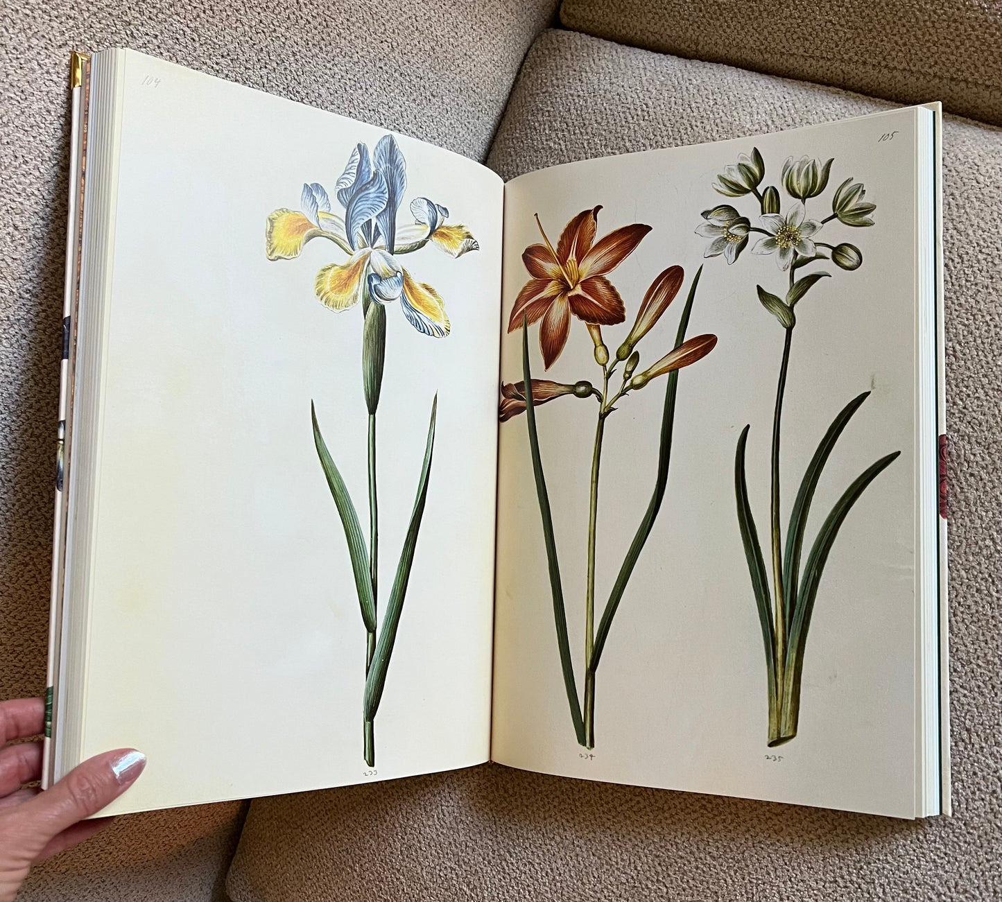 Iris Flower Studded Coffee Table Book