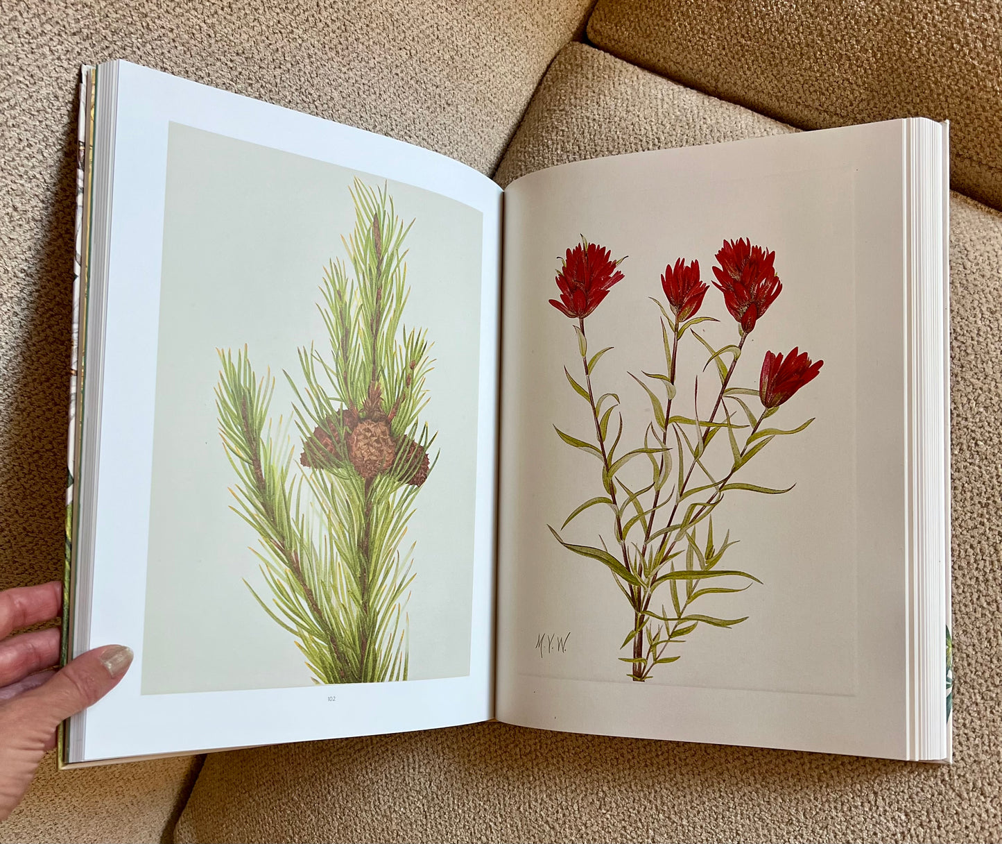 Pink Orchid Studded Coffee Table Book