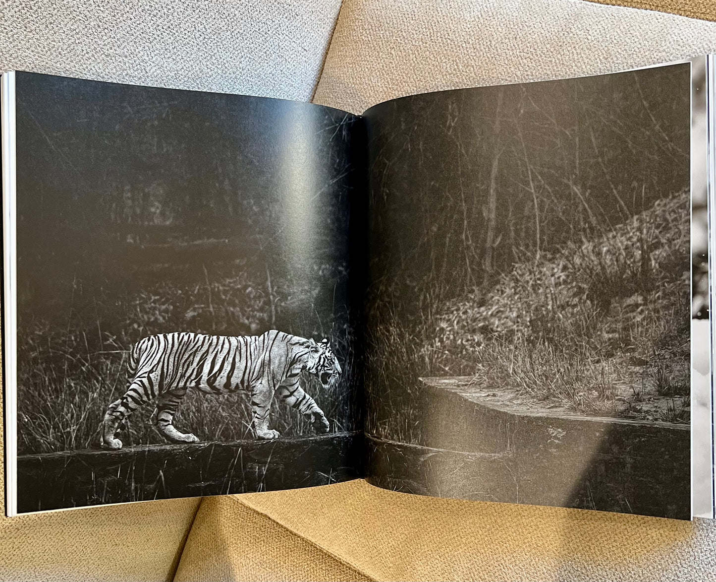 Hippo Studded Coffee Table Book
