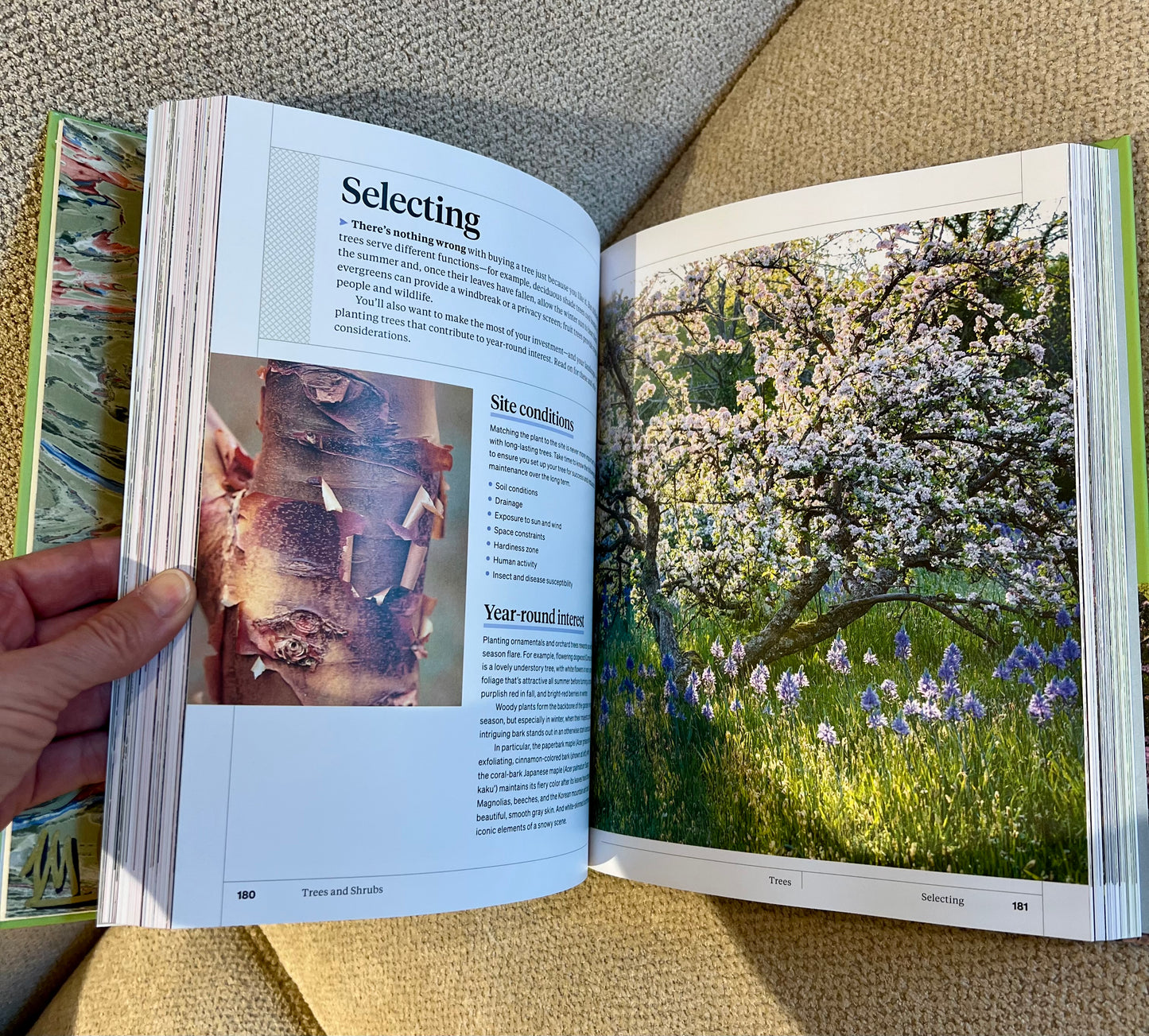 Sunflower Studded Coffee Table Book