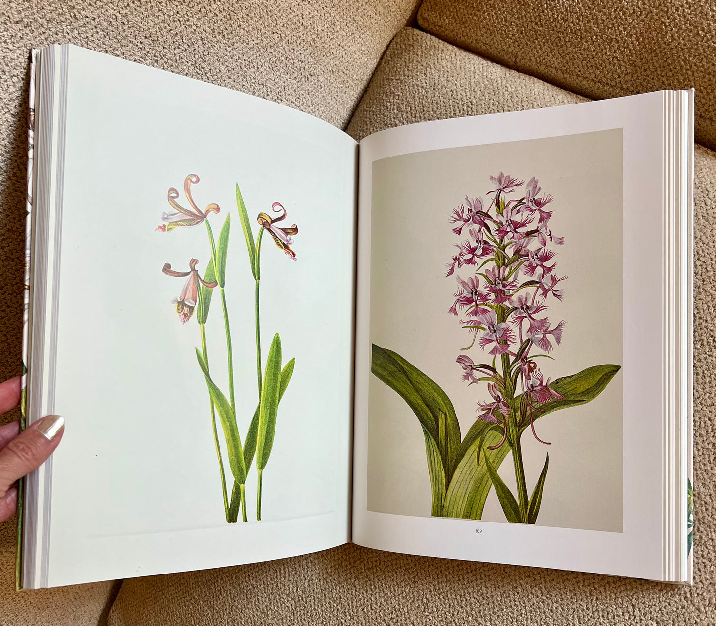 Pink Orchid Studded Coffee Table Book