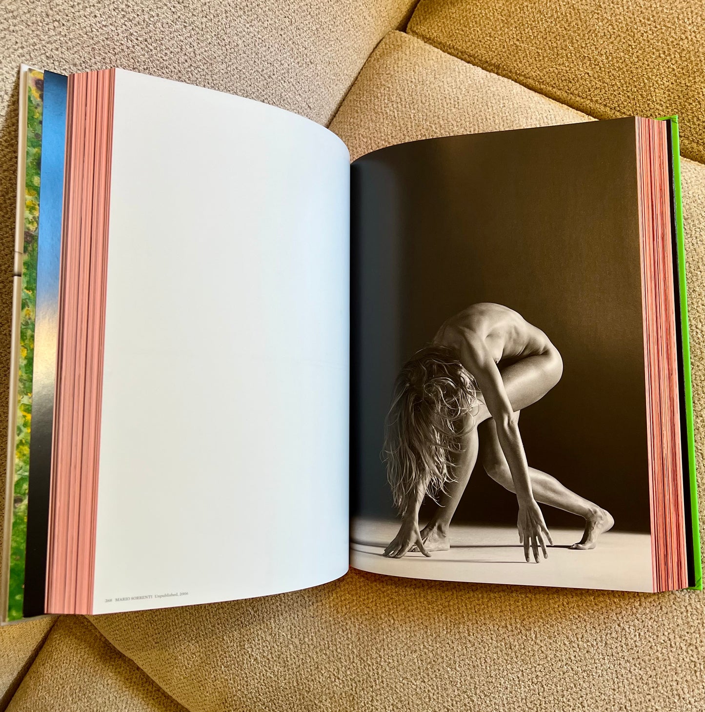 Gisele Studded Coffee Table Book