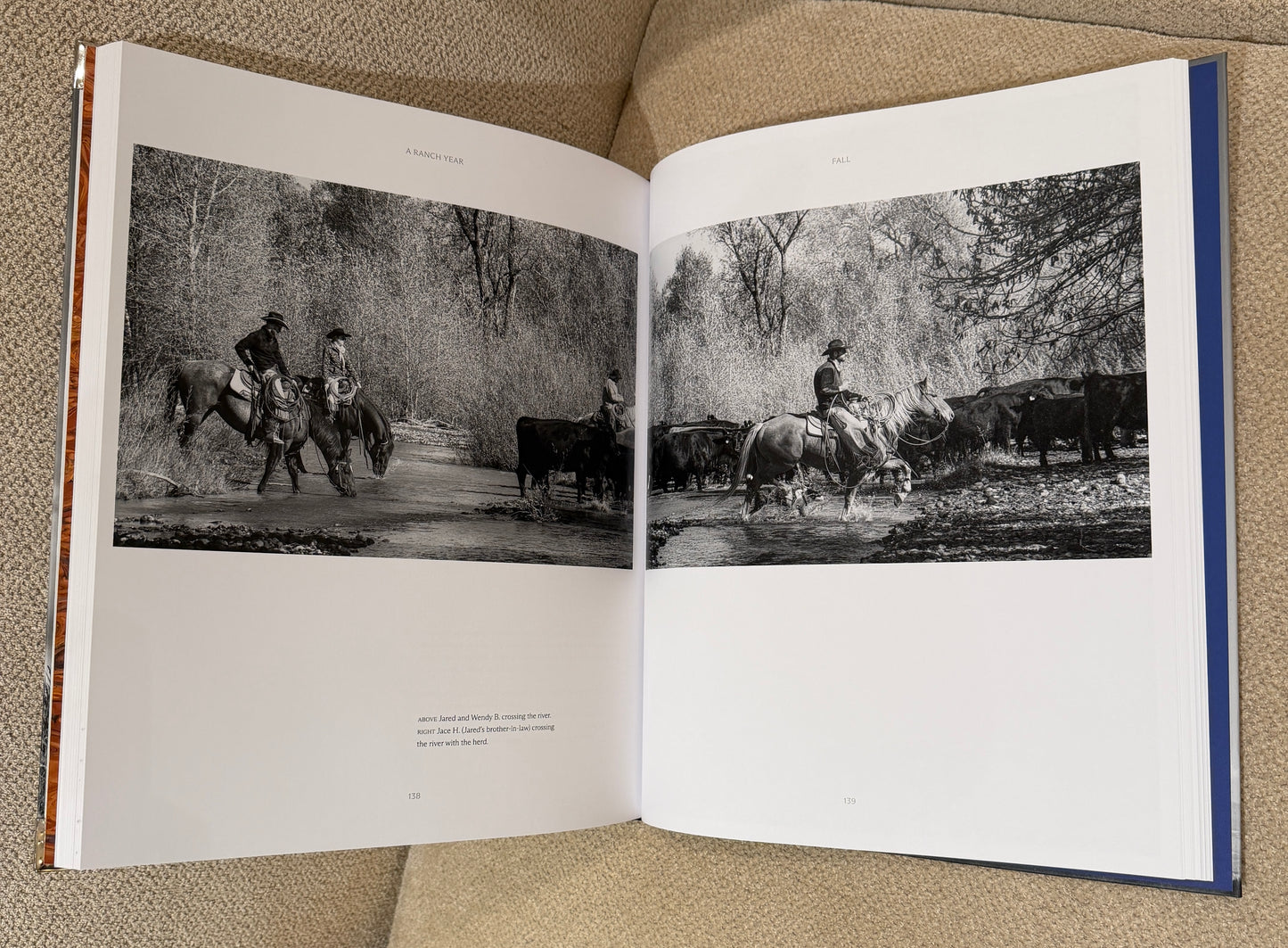 Blue longhorn Studded Coffee Table Book