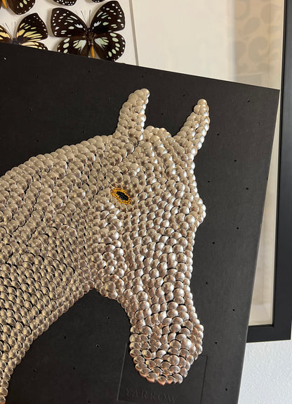 Horse Studded Coffee Table Book
