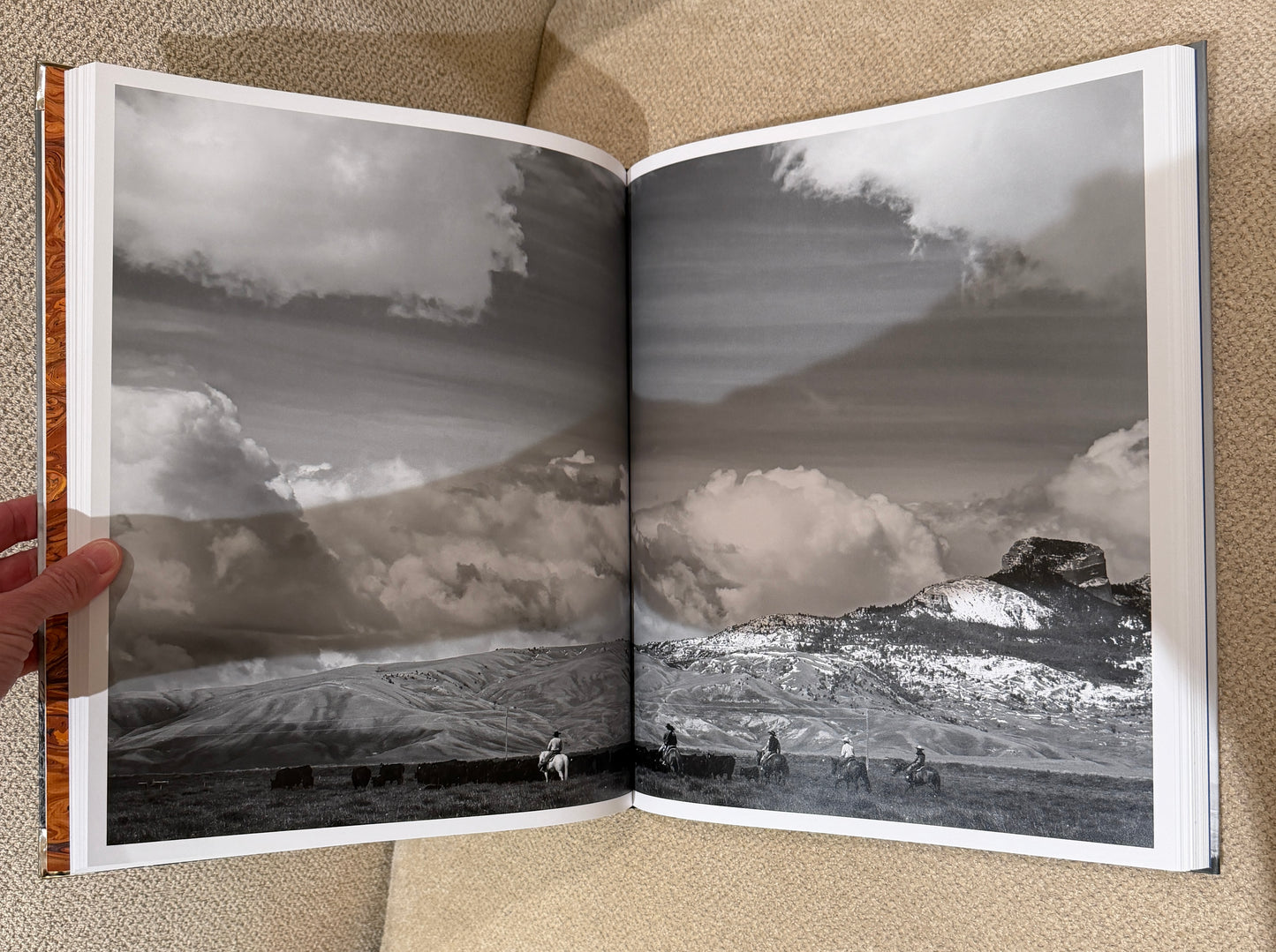 Blue longhorn Studded Coffee Table Book