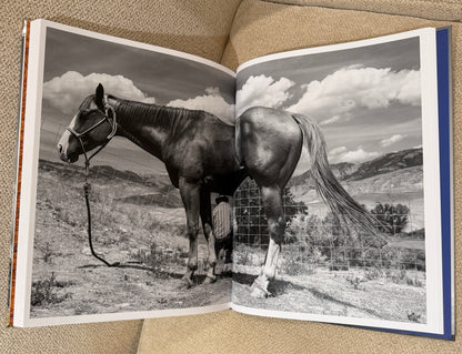 Blue longhorn Studded Coffee Table Book