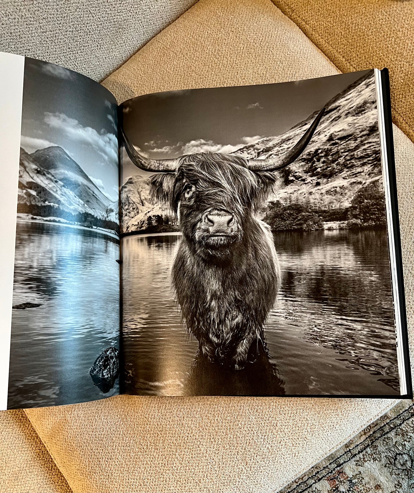 Deer Studded Coffee Table Book