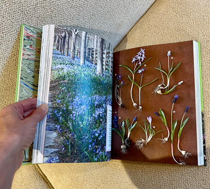 Sunflower Studded Coffee Table Book