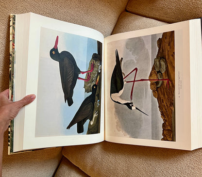 Pink Flamingo Studded Coffee Table Book