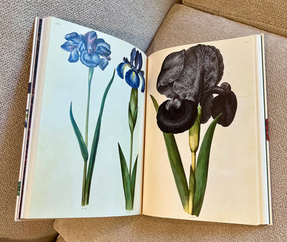 Bronze Snakes Studded Coffee Table Book