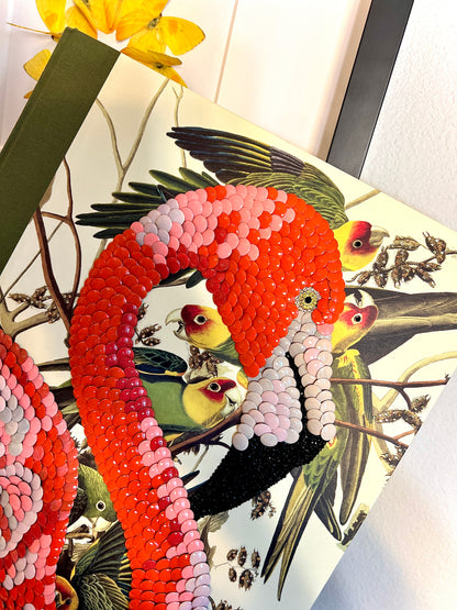 Pink Flamingo Studded Coffee Table Book