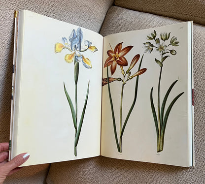 Iris Flower Studded Coffee Table Book