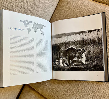 Horse Studded Coffee Table Book