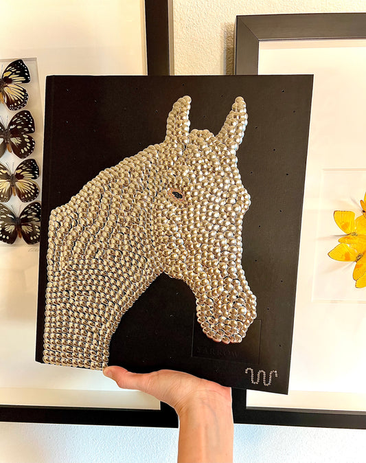 Horse Studded Coffee Table Book