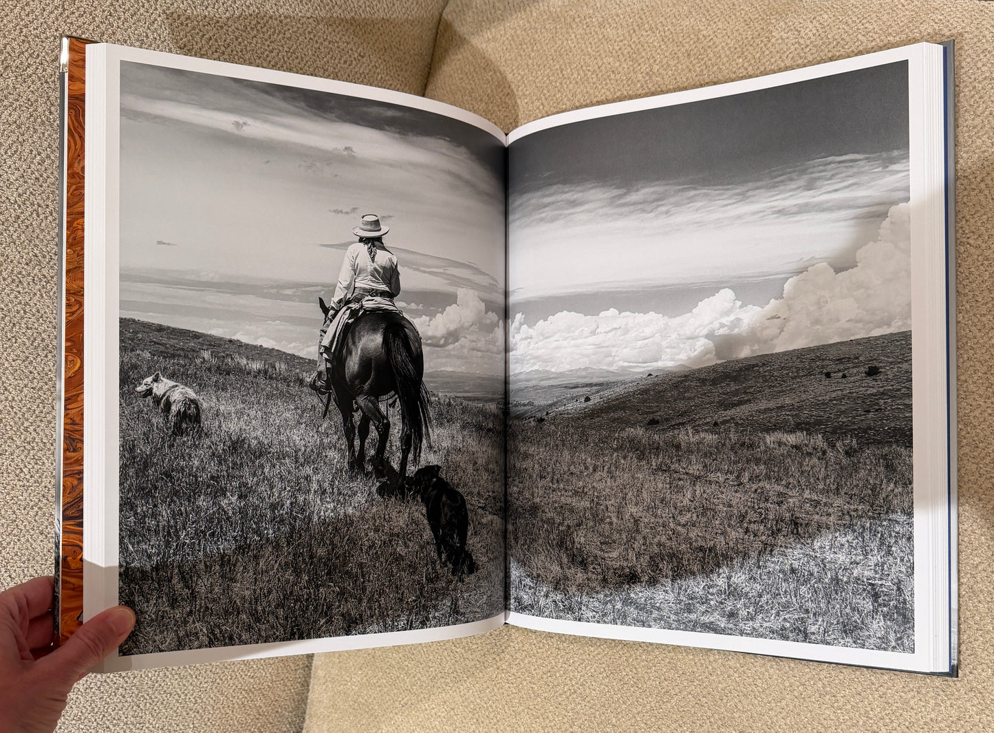 Blue longhorn Studded Coffee Table Book