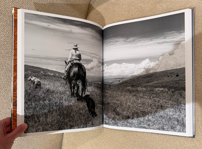 Blue longhorn Studded Coffee Table Book